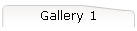 Gallery 1