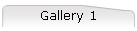 Gallery 1