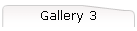 Gallery 3