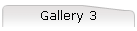 Gallery 3